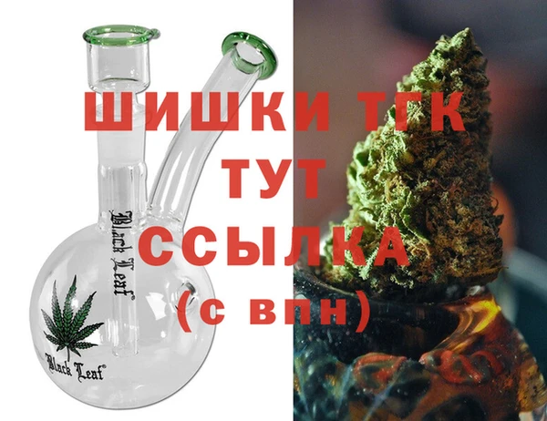 гашик Бородино
