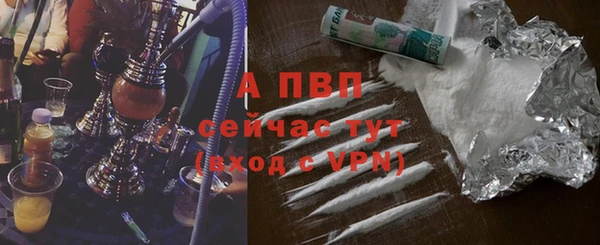 гашик Бородино