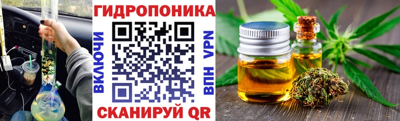 МАРИХУАНА ГИДРОПОН  Канаш 